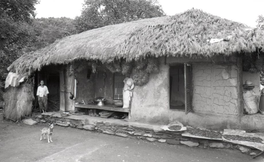 김운기 컬렉션이미지