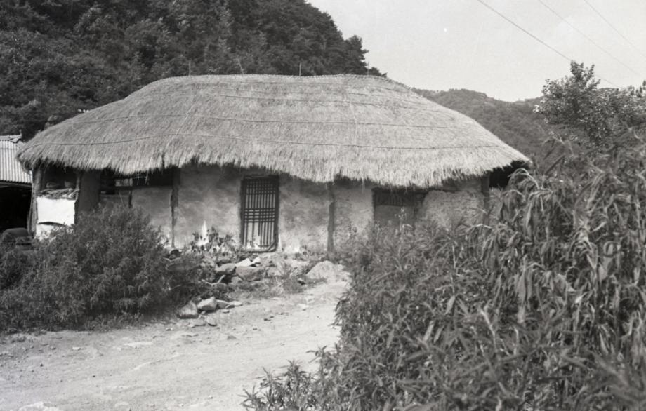 김운기 컬렉션이미지