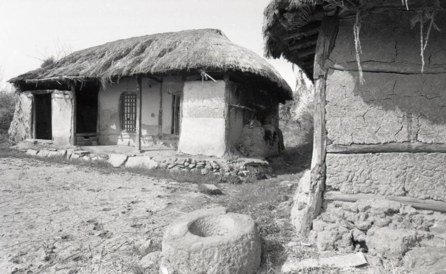 김운기 컬렉션이미지