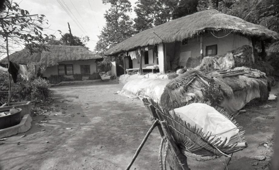 김운기 컬렉션이미지