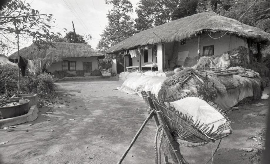 김운기 컬렉션이미지