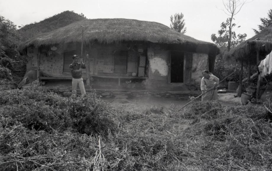 김운기 컬렉션이미지