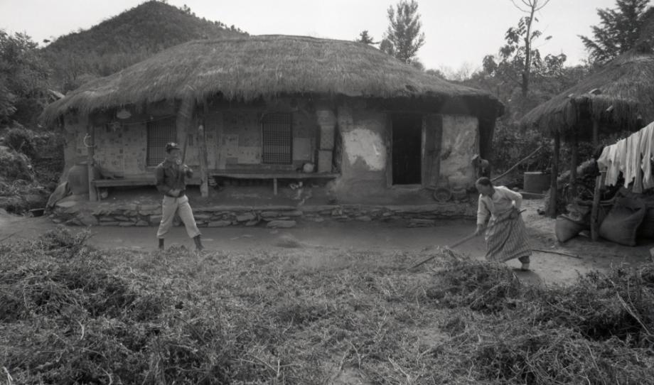 김운기 컬렉션이미지