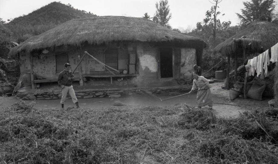 김운기 컬렉션이미지