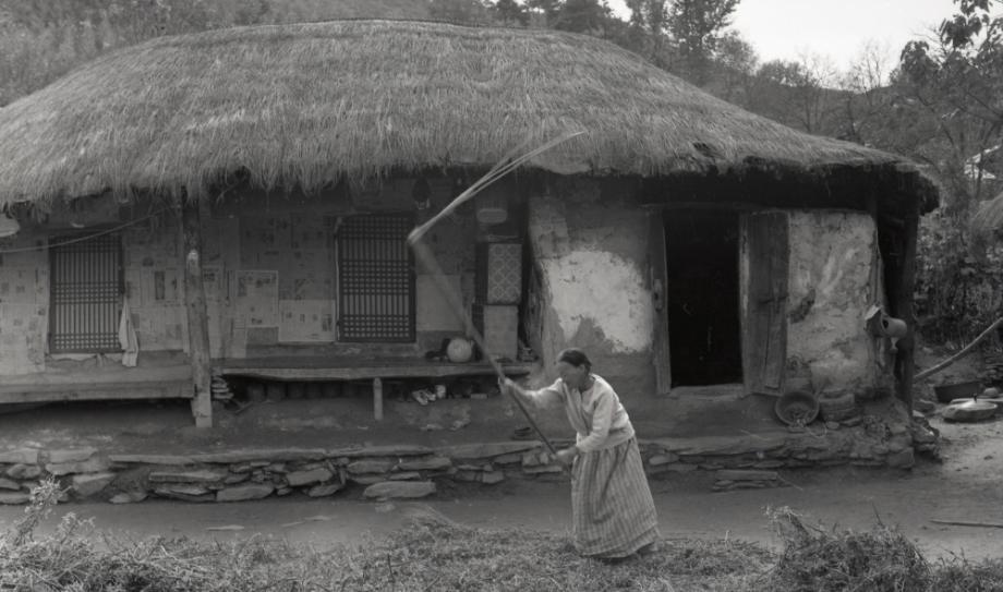 김운기 컬렉션이미지