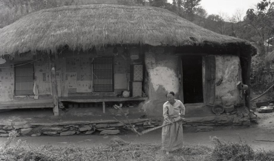 김운기 컬렉션이미지