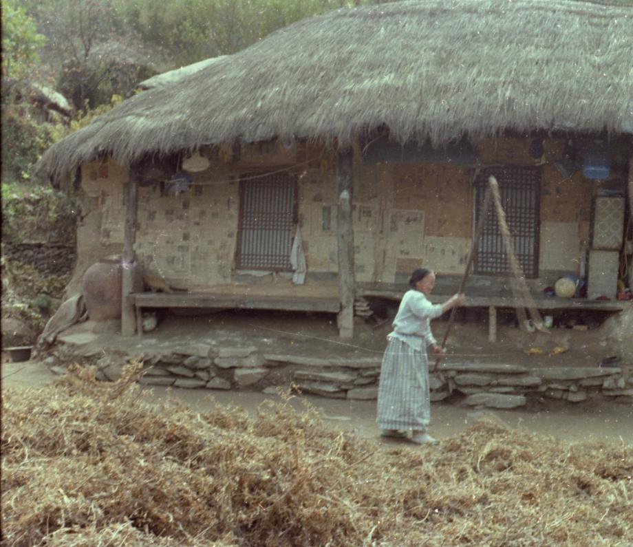 김운기 컬렉션이미지