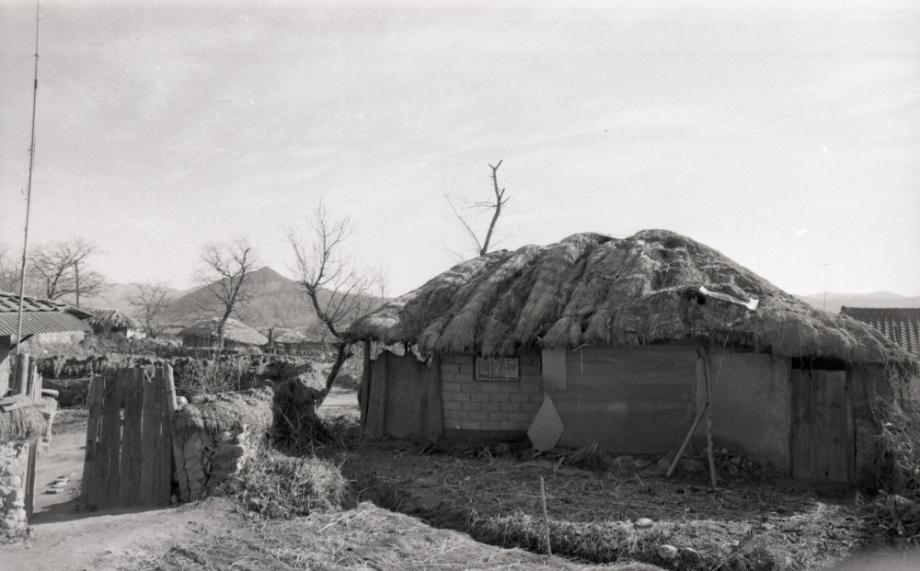 김운기 컬렉션이미지