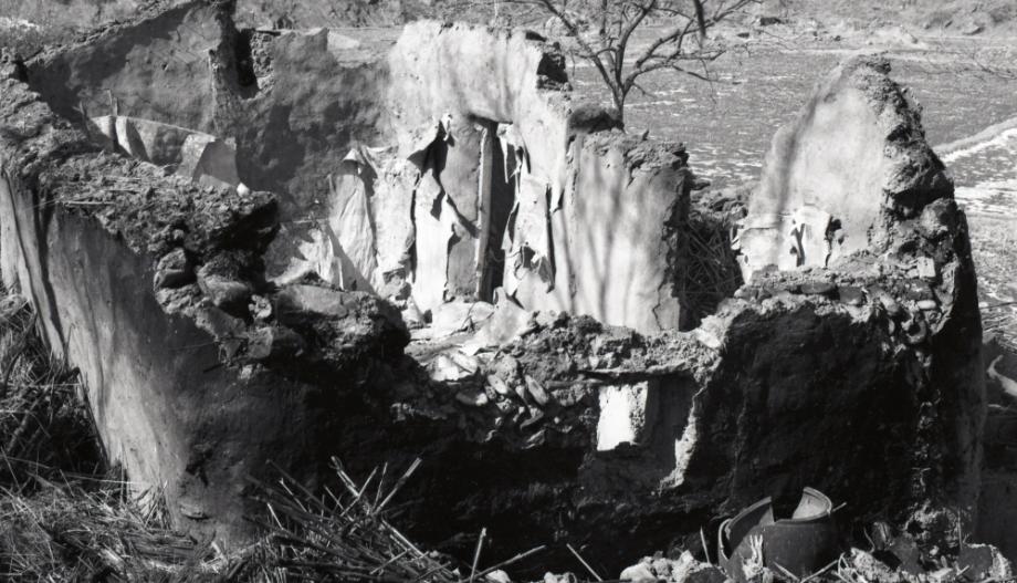 김운기 컬렉션이미지