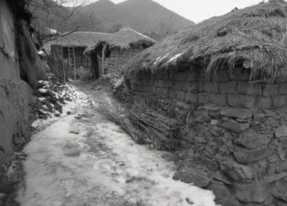 김운기 컬렉션이미지