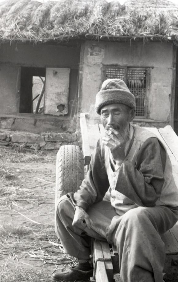 김운기 컬렉션이미지