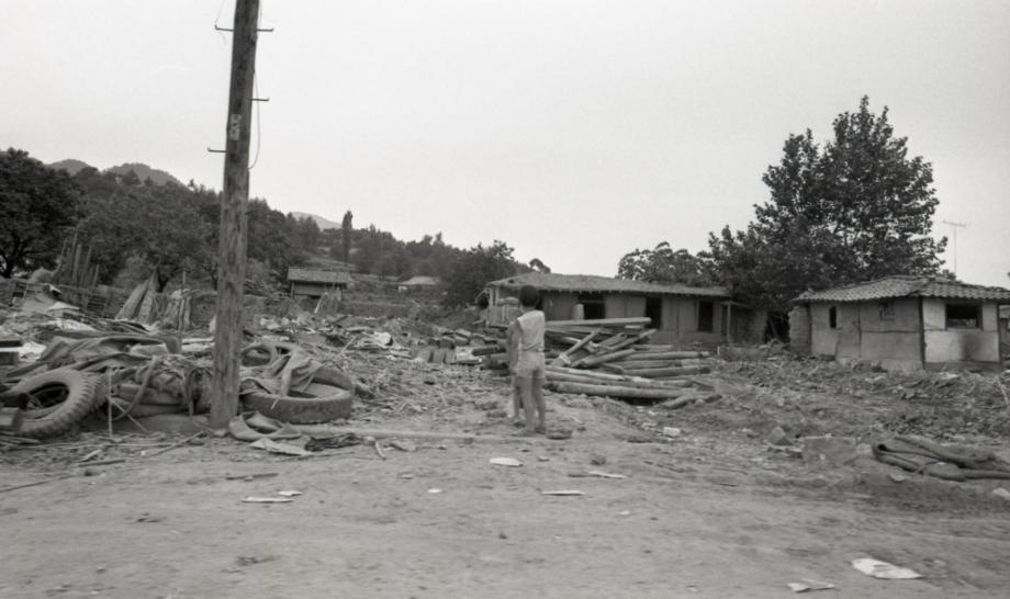김운기 컬렉션이미지