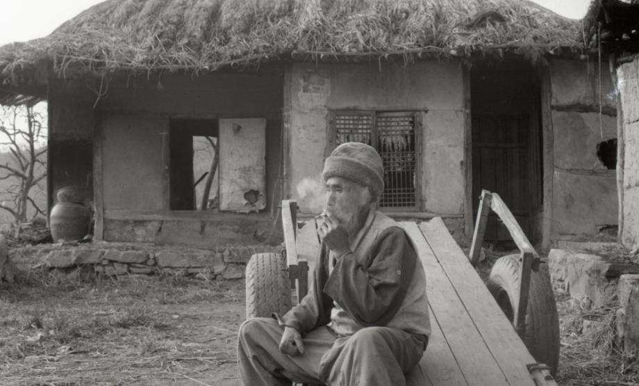 김운기 컬렉션이미지