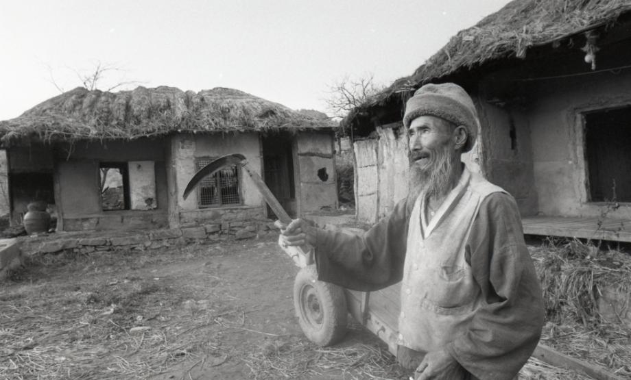 김운기 컬렉션이미지