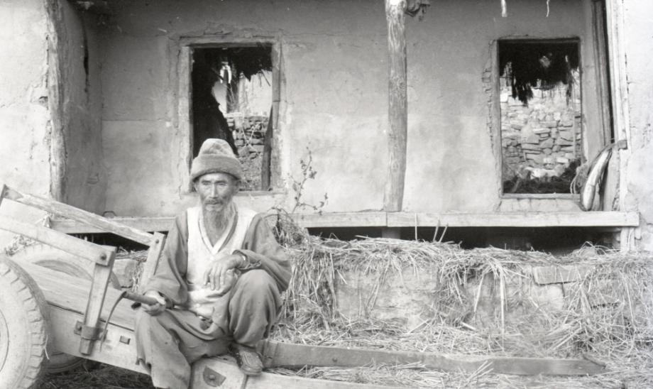 김운기 컬렉션이미지