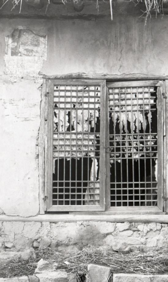 김운기 컬렉션이미지