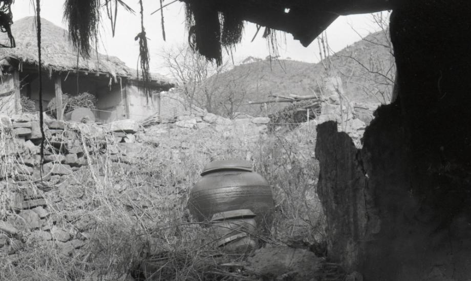 김운기 컬렉션이미지