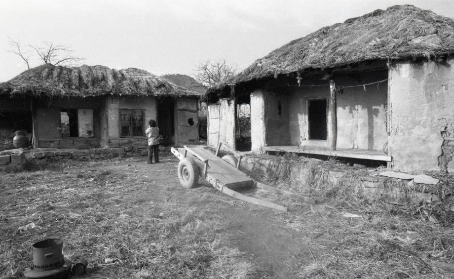 김운기 컬렉션이미지