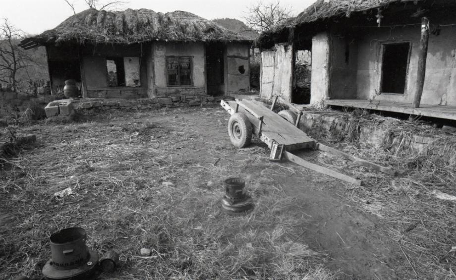 김운기 컬렉션이미지