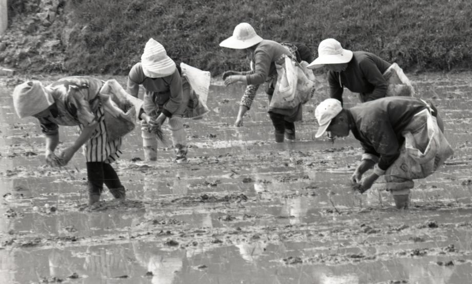 김운기 컬렉션이미지