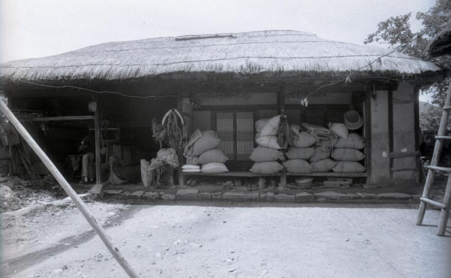 김운기 컬렉션이미지