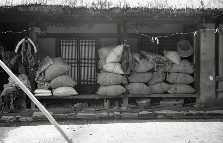 김운기 컬렉션이미지