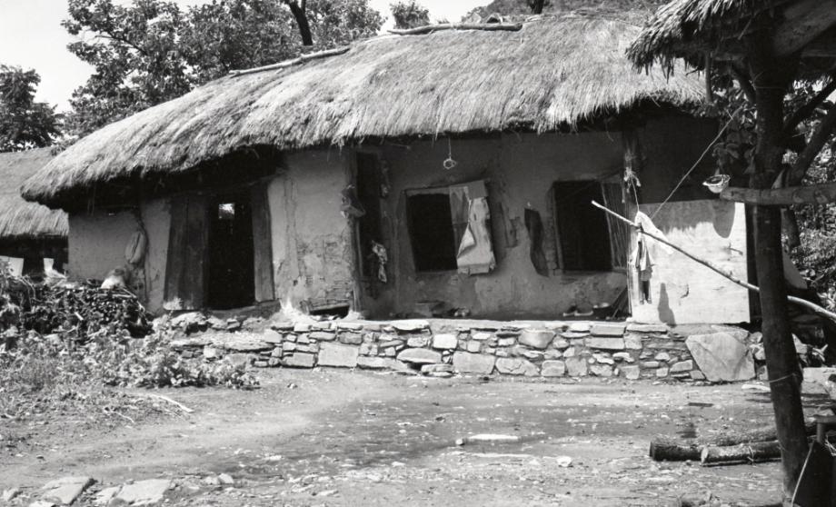 김운기 컬렉션이미지