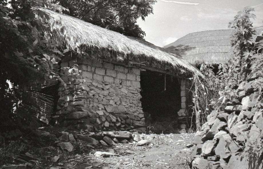 김운기 컬렉션이미지