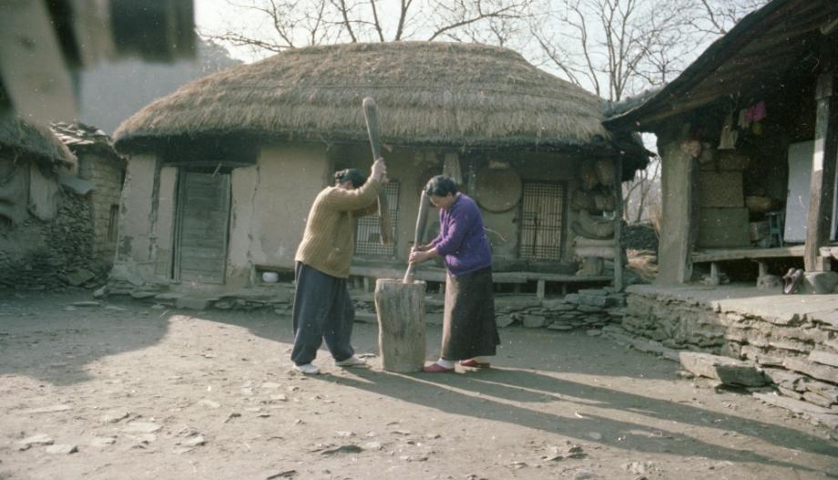 김운기 컬렉션이미지