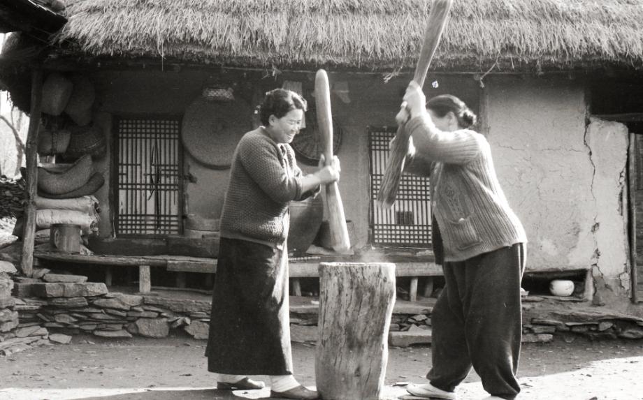 김운기 컬렉션이미지