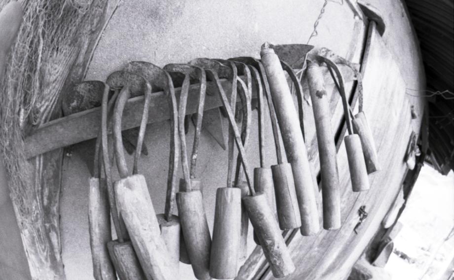 김운기 컬렉션이미지