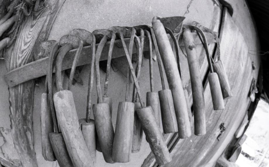 김운기 컬렉션이미지