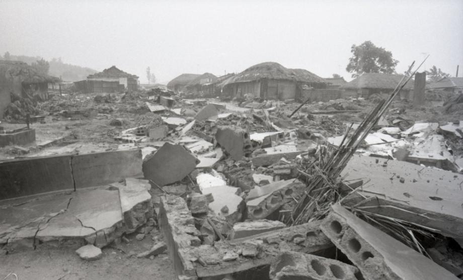 김운기 컬렉션이미지