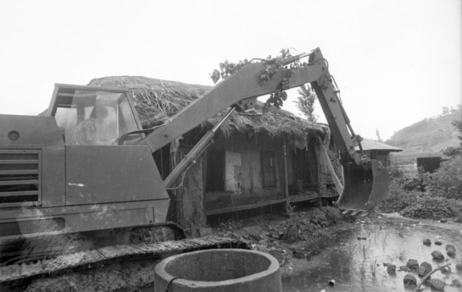 김운기 컬렉션이미지