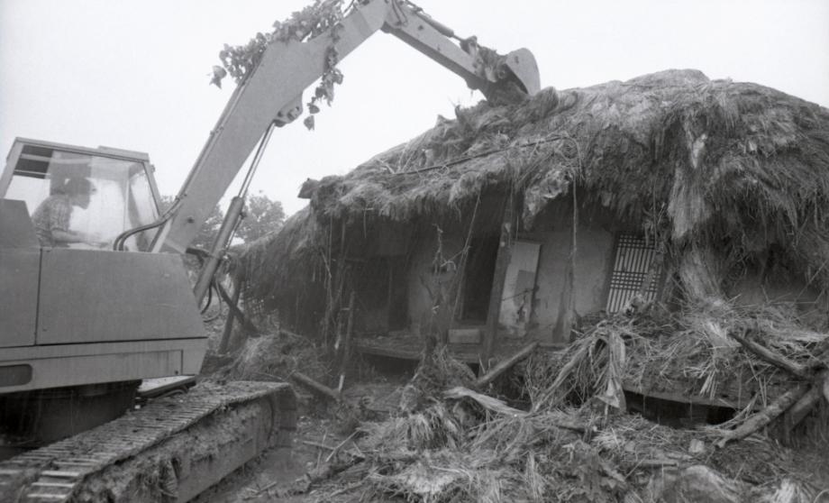 김운기 컬렉션이미지