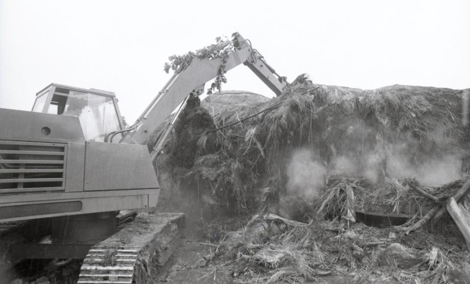 김운기 컬렉션이미지