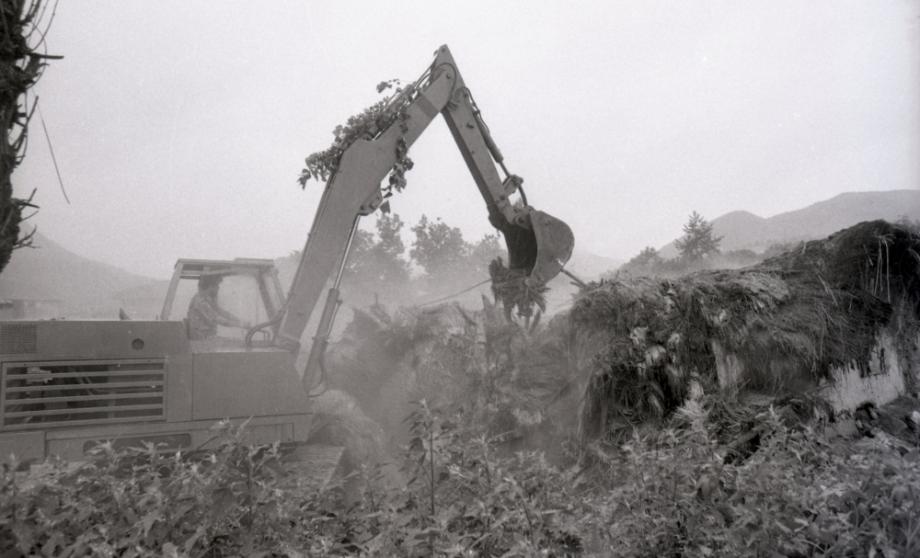김운기 컬렉션이미지
