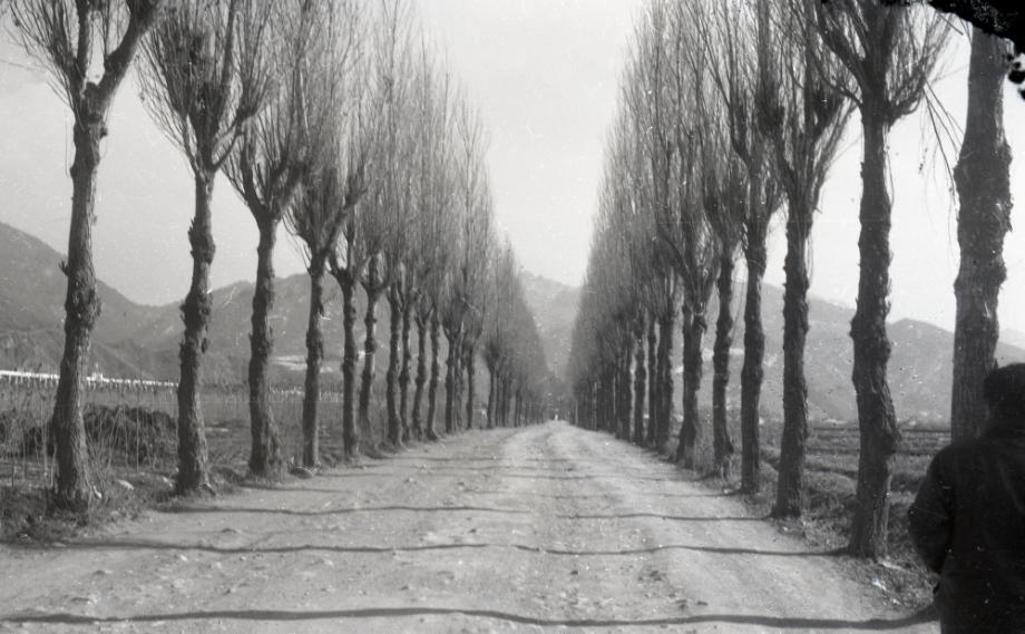 김운기 컬렉션이미지