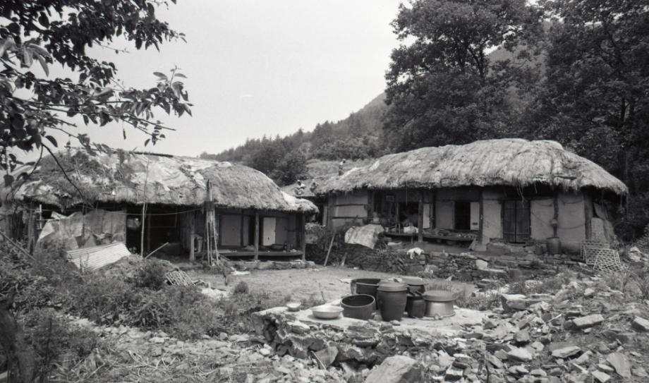 김운기 컬렉션이미지