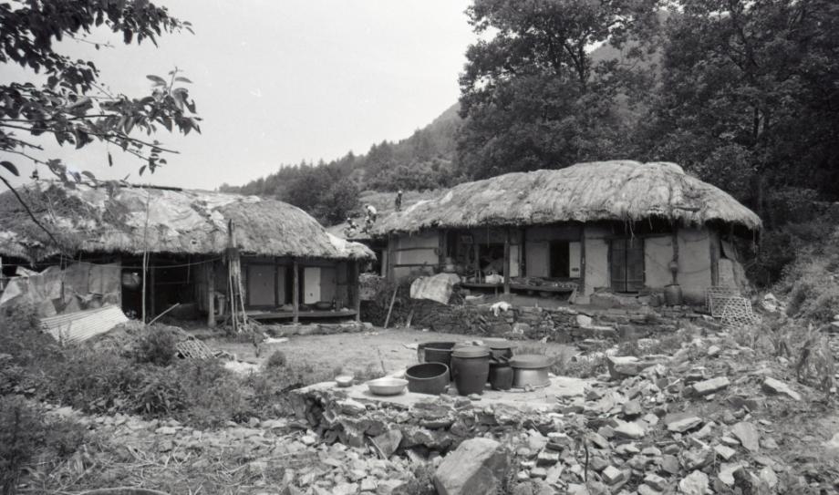 김운기 컬렉션이미지