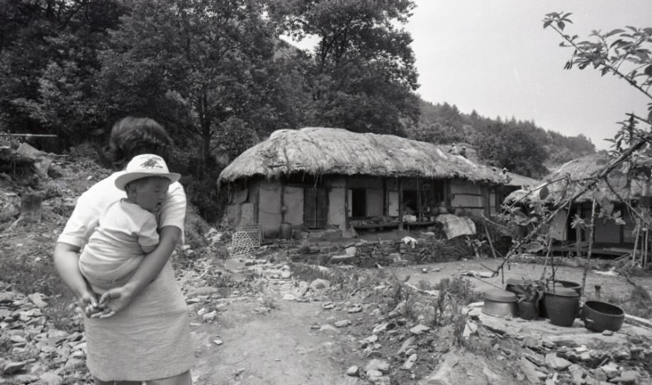 김운기 컬렉션이미지