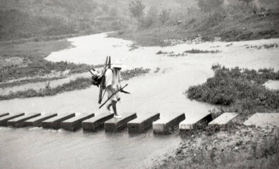 김운기 컬렉션이미지