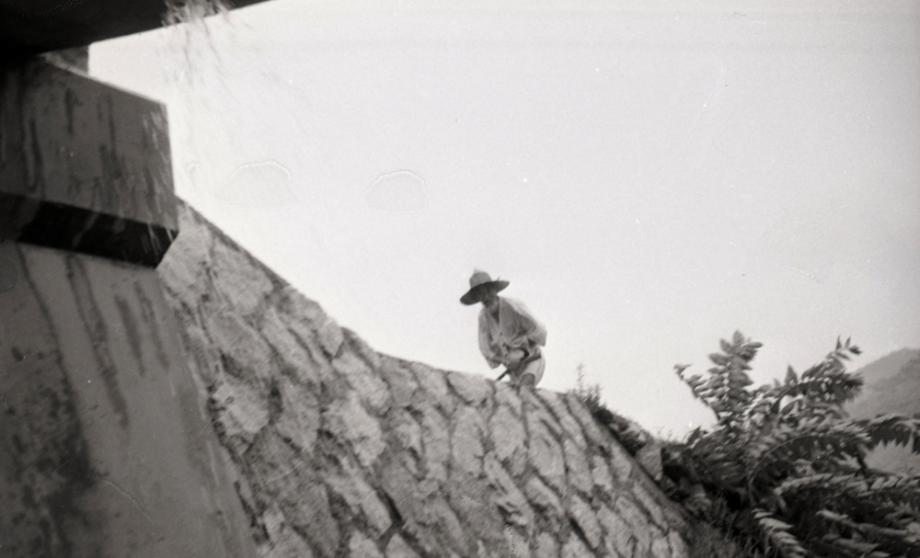 김운기 컬렉션이미지