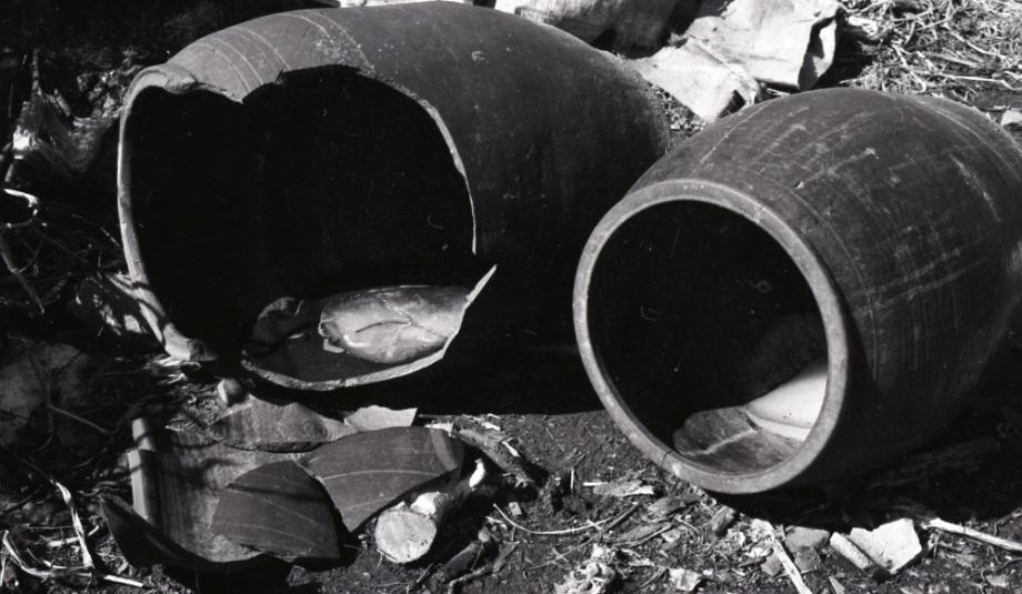 김운기 컬렉션이미지