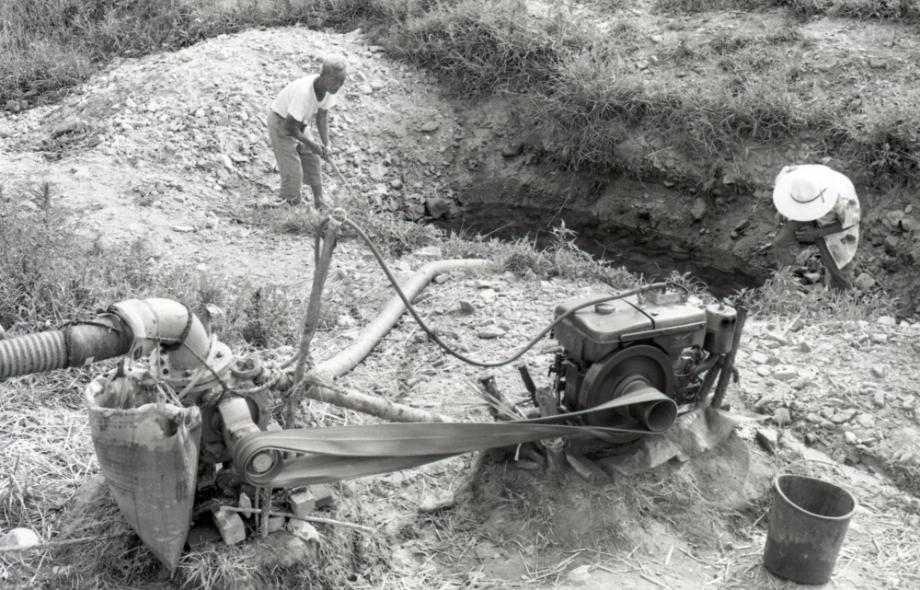 김운기 컬렉션이미지