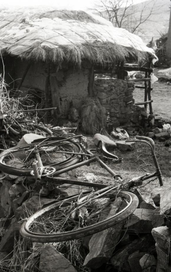 김운기 컬렉션이미지