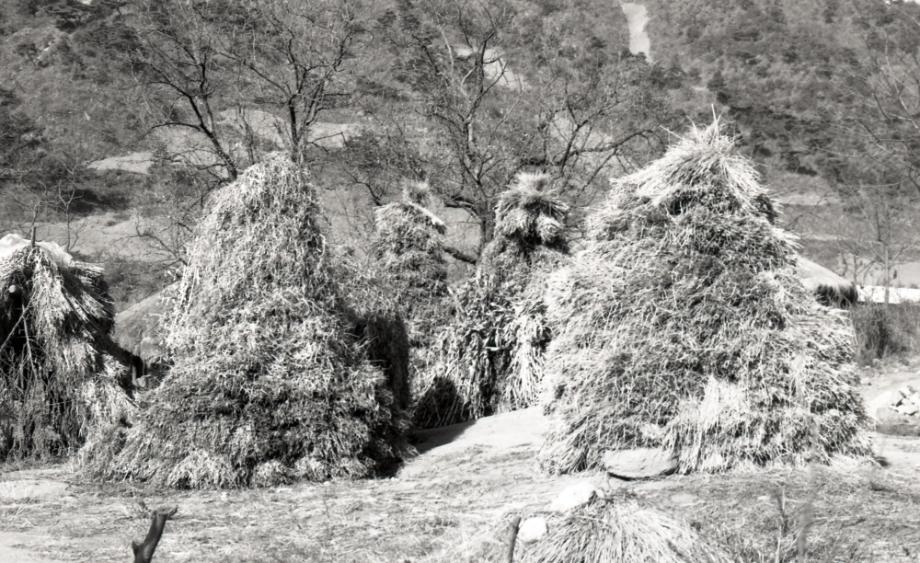 김운기 컬렉션이미지