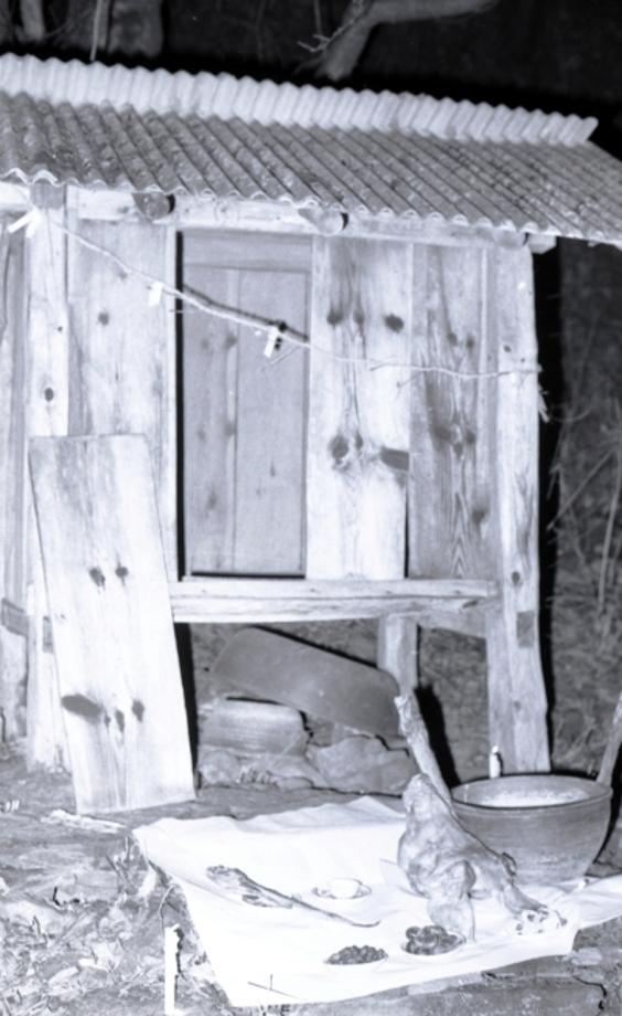 김운기 컬렉션이미지