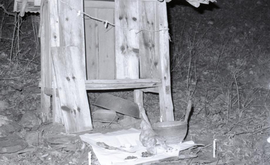 김운기 컬렉션이미지