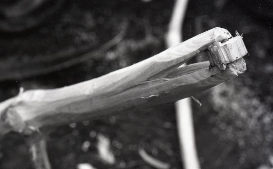 김운기 컬렉션이미지